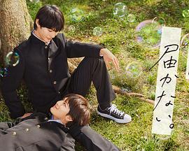 日本女教师论理海报剧照